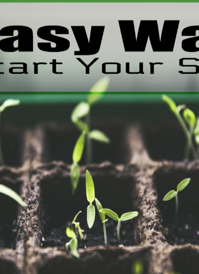 3 Easy Ways To Start Your Seeds